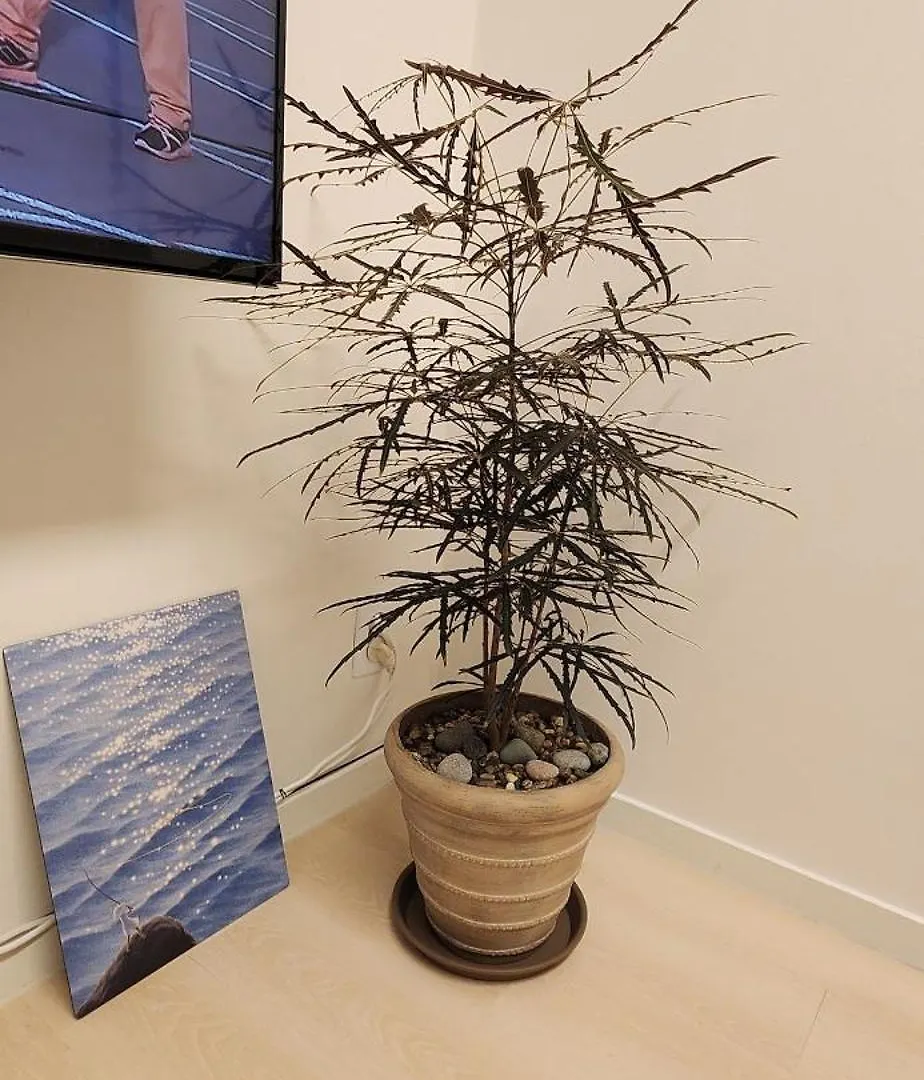 인천 Mono House 101 아파트